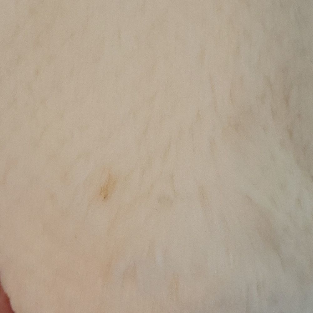 Cache Jacket - image 3